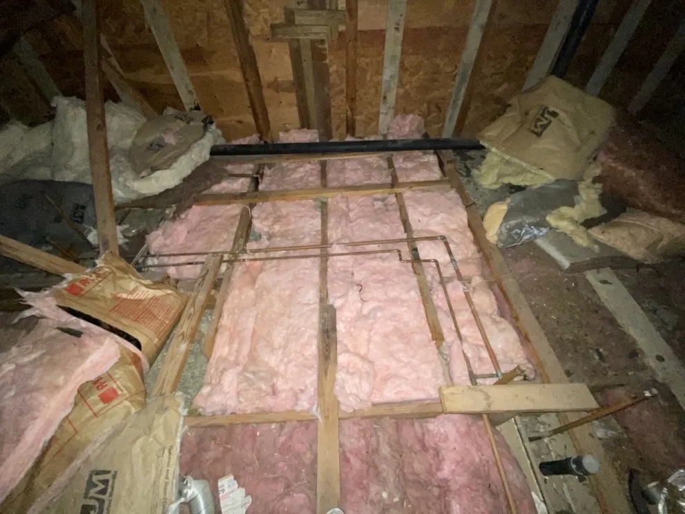 Expert garden landscaping for year-round maintenance across Alamo, TX - Diamond Quality