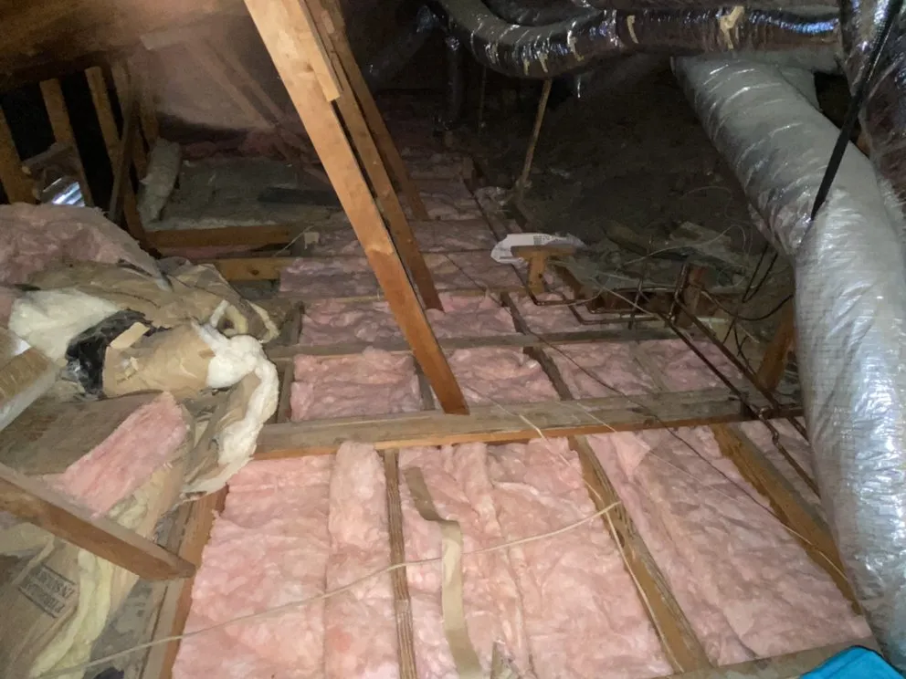 Reliable lawn mowing service in Alamo, TX by Diamond Quality