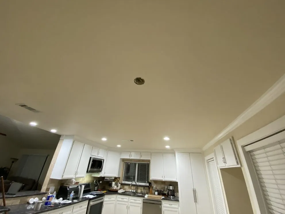 Expert yard maintenance for outdoor upgrades across Alamo, TX - Diamond Quality