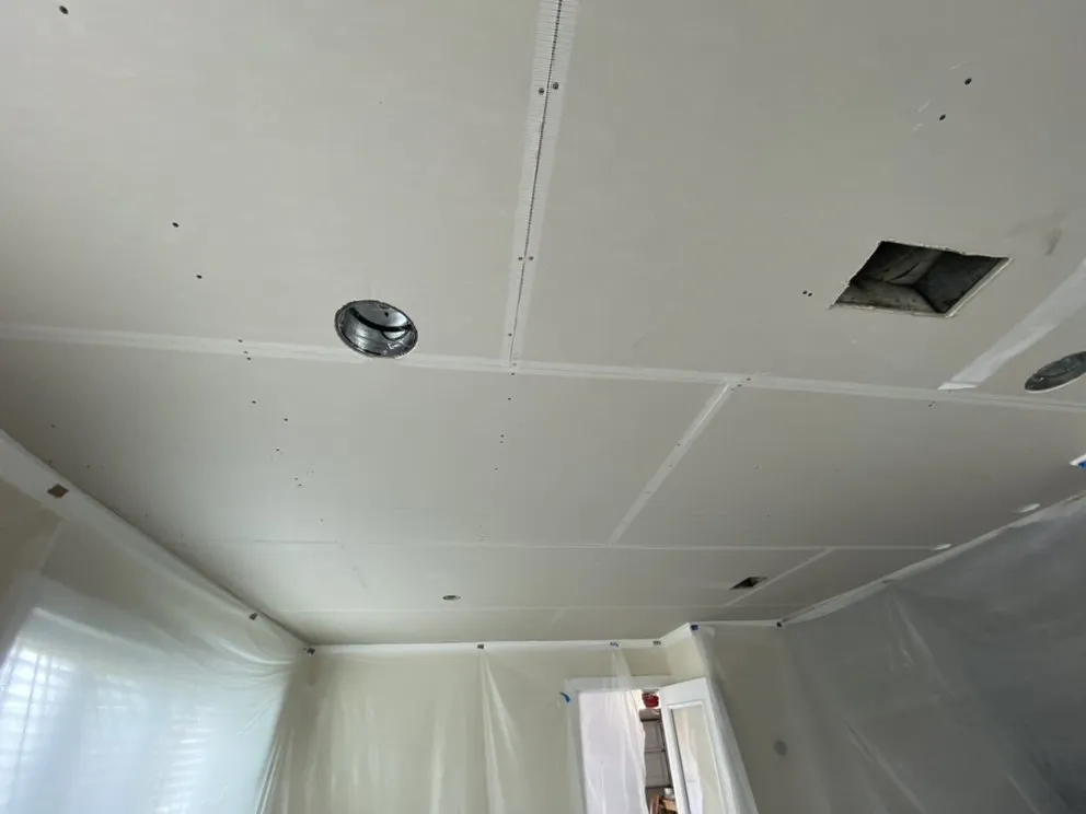 Custom yard cleanup service experts serving Alamo, TX - Diamond Quality