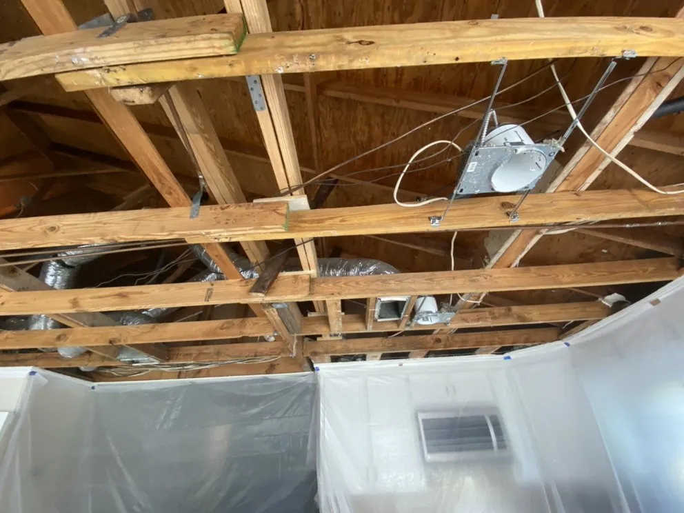 Expert landscaping services in Alamo, TX - Diamond Quality