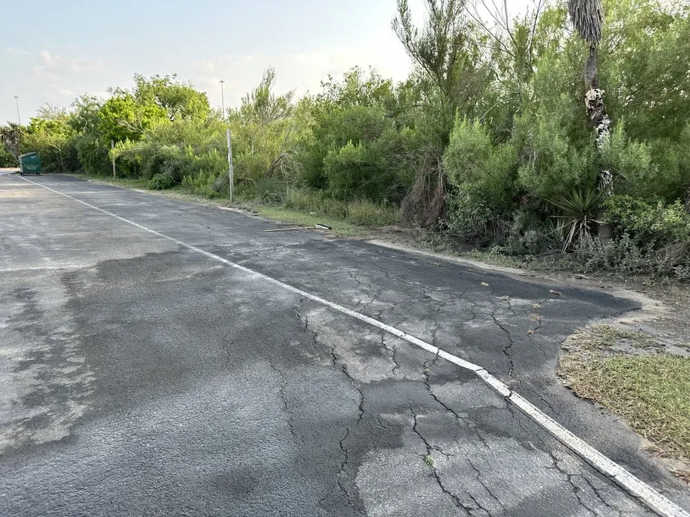 Expert yard cleanup service in Mercedes, TX by Diamond Ridge Designs