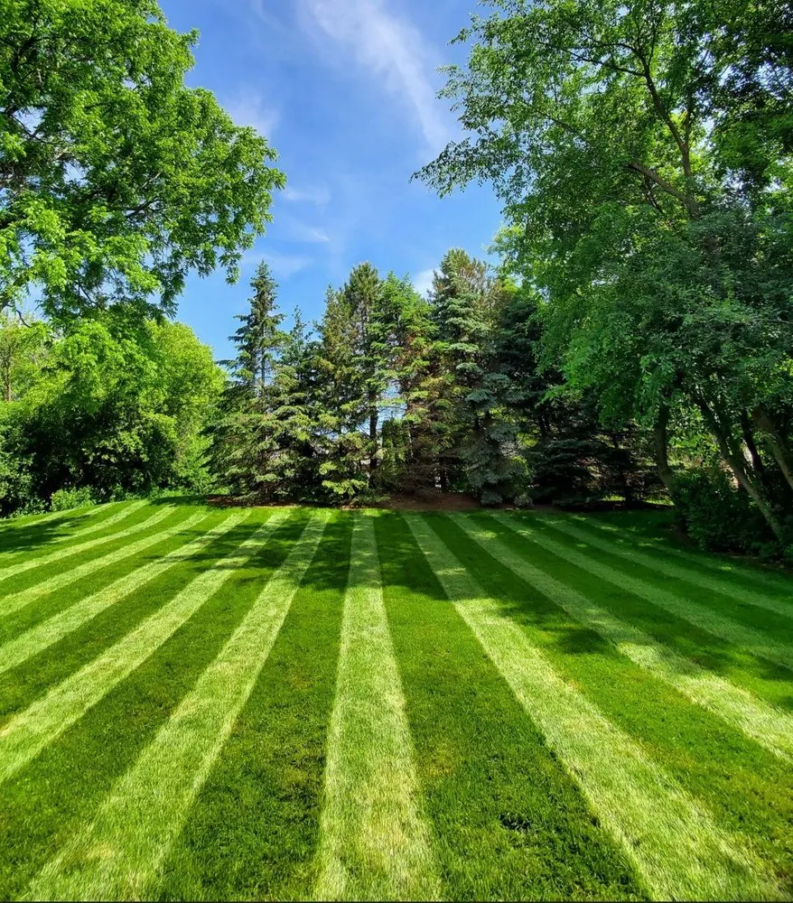 Custom landscape installation in Kettering, OH - Diamond Standard Solutions