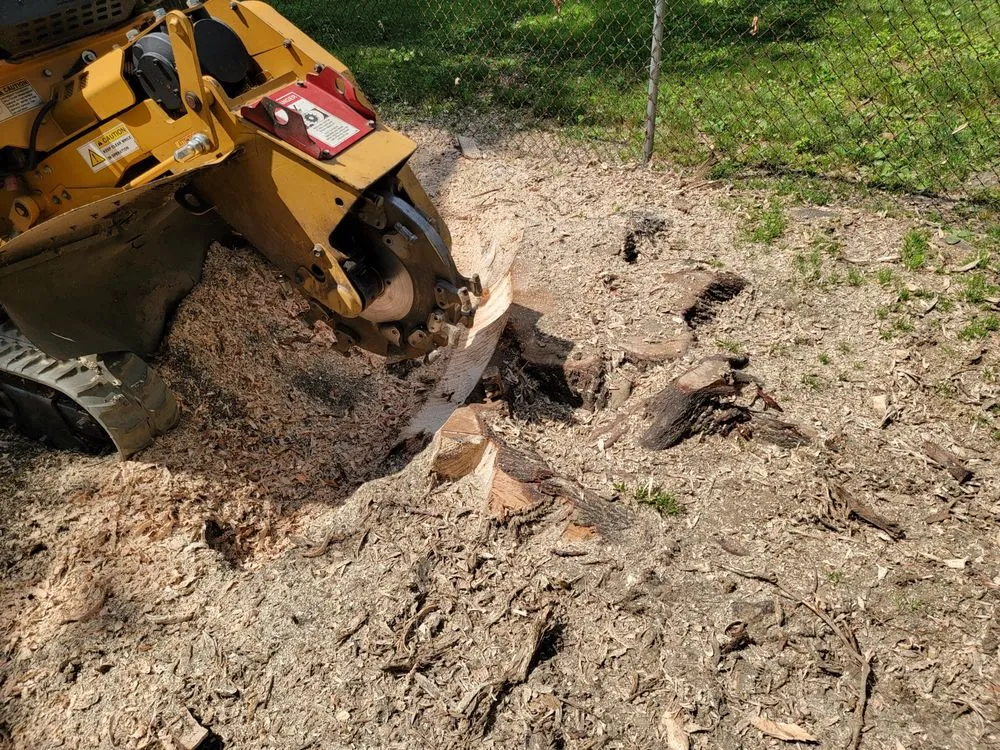 Affordable lawn care service experts serving Wilmington, DE - Diamond State Tree Experts