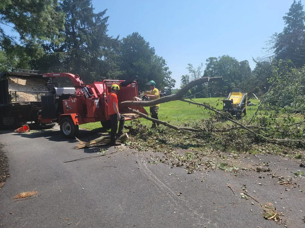 Top-rated garden landscaping experts serving Wilmington, DE - Diamond State Tree Experts