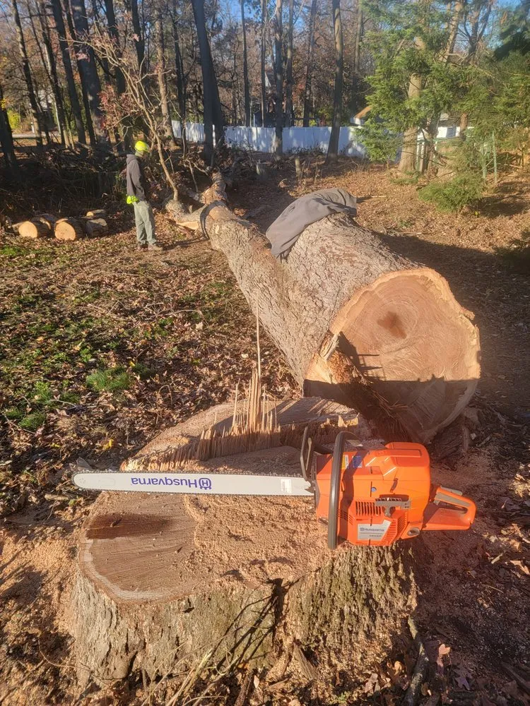 Affordable outdoor landscaping experts serving Wilmington, DE - Diamond State Tree Experts