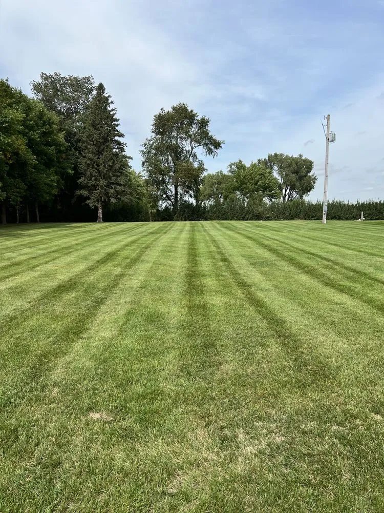 Expert landscaping services experts serving Faribault, MN - Diamond Top Lawn Service