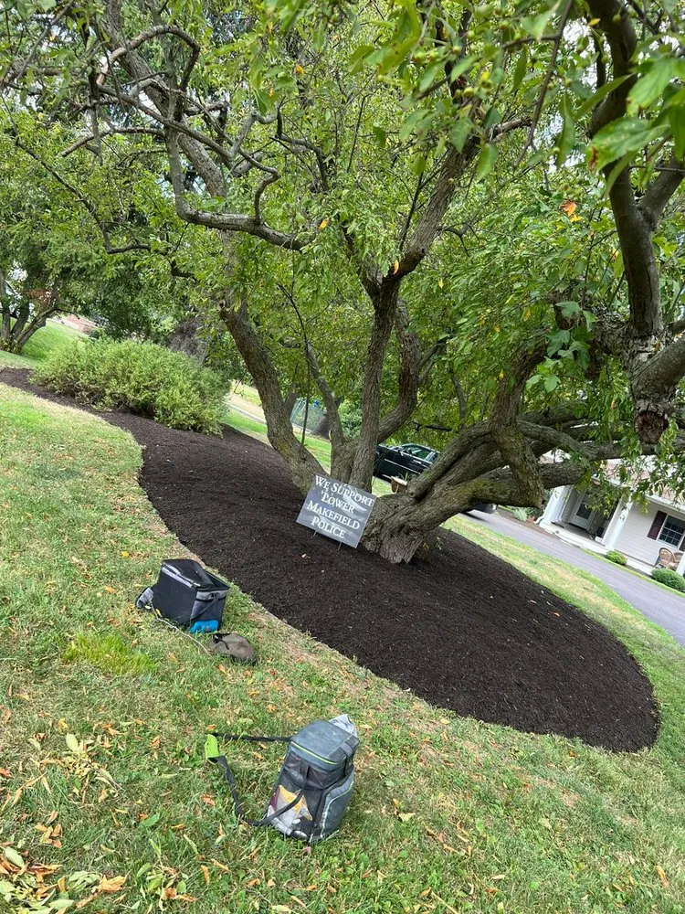 Trusted landscape installation in Morrisville, PA by Diamond Tree & Landscaping