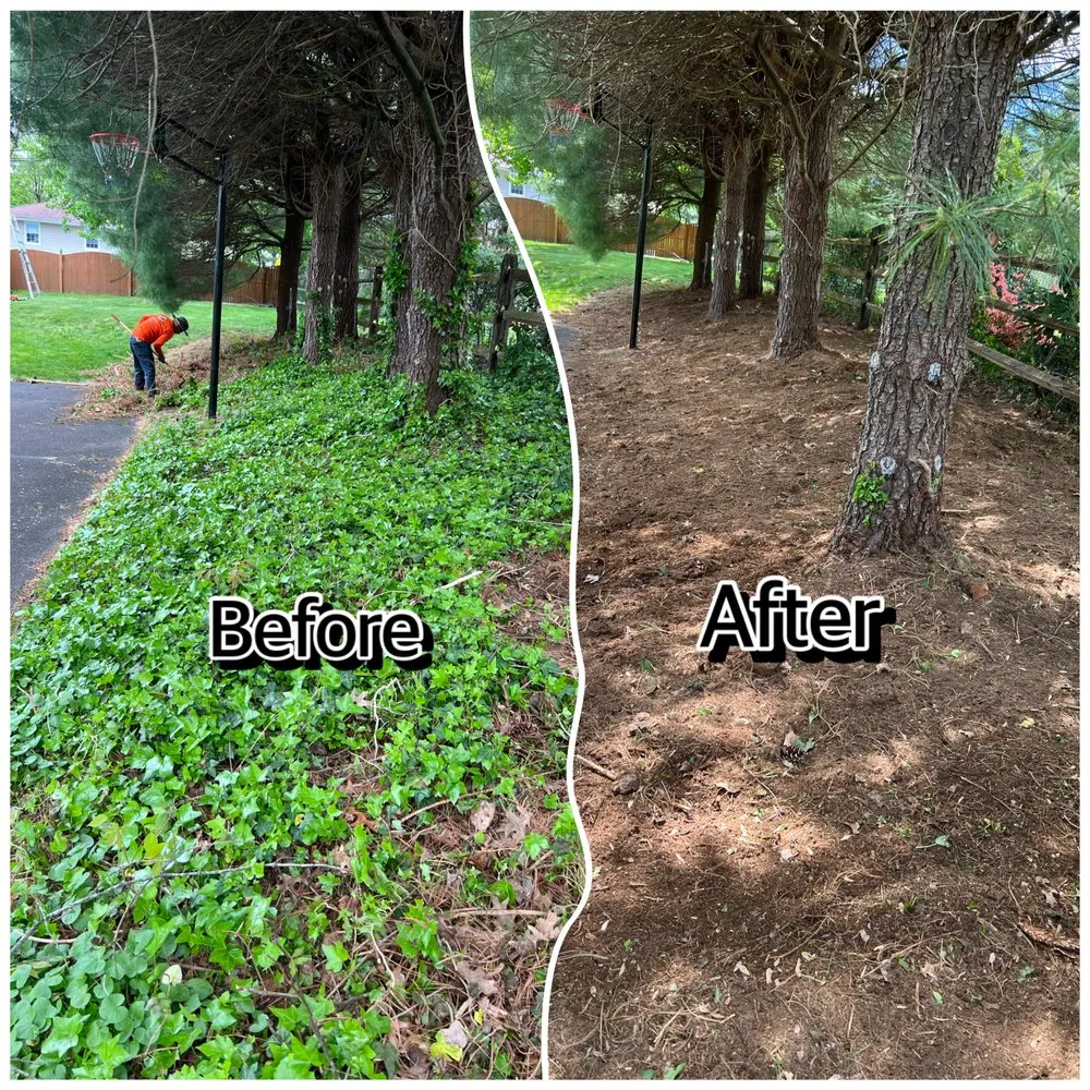 Top-rated landscaping services for year-round maintenance across Morrisville, PA - Diamond Tree & Landscaping