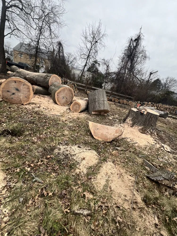 Custom yard maintenance in Morrisville, PA by Diamond Tree & Landscaping