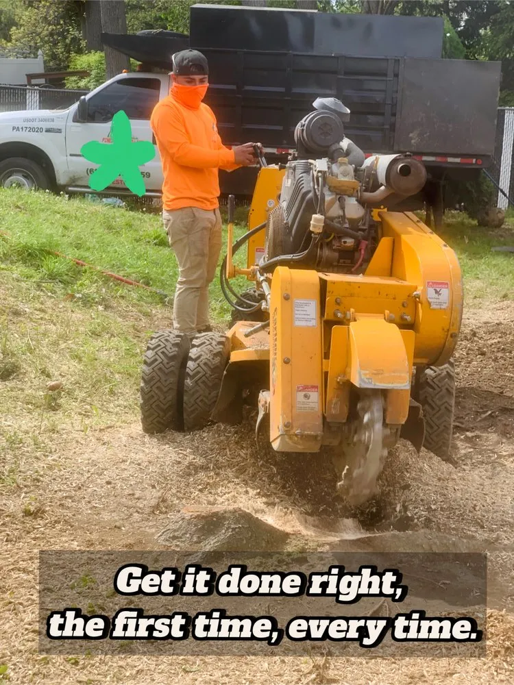 Reliable lawn care service for beautiful yards in Morrisville, PA by Diamond Tree & Landscaping