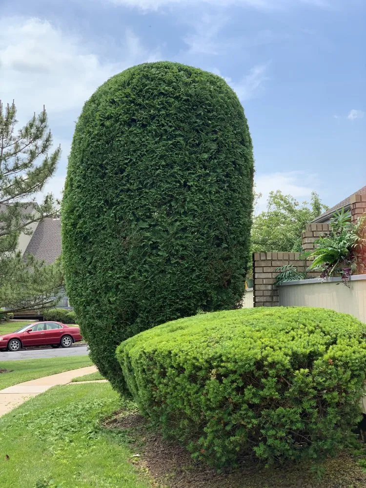 Local landscaping services in Morrisville, PA - Diamond Tree & Landscaping