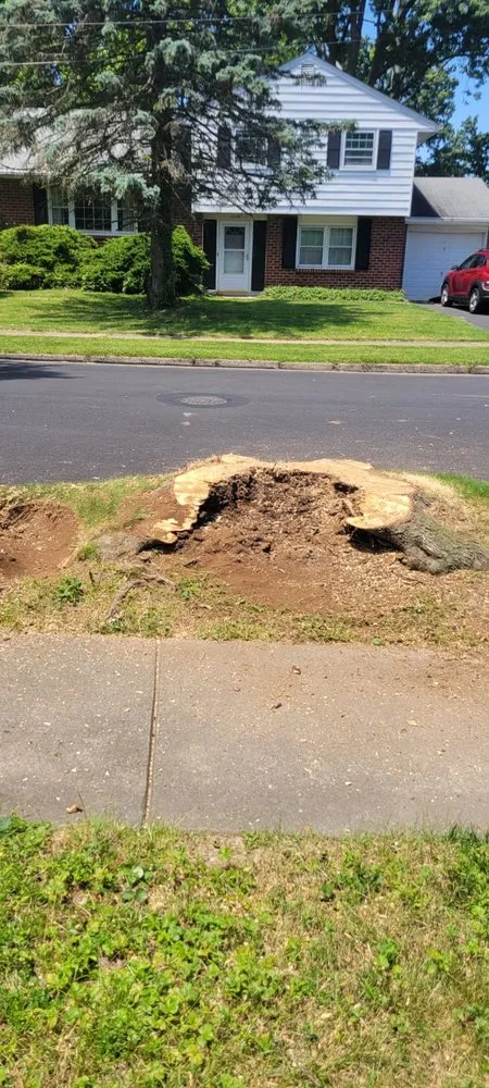 Top-rated lawn care service in Morrisville, PA - Diamond Tree & Landscaping