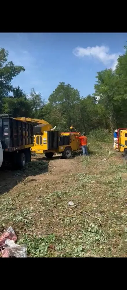 Expert garden landscaping experts serving Morrisville, PA - Diamond Tree & Landscaping