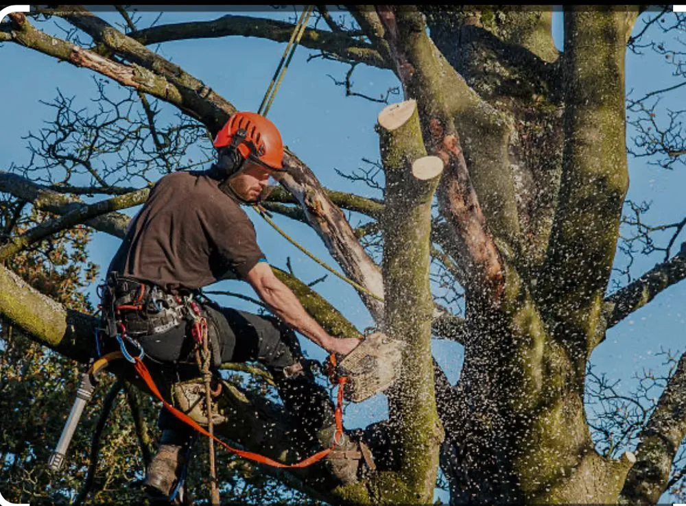 Local garden landscaping with custom design across Morrisville, PA - Diamond Tree & Landscaping