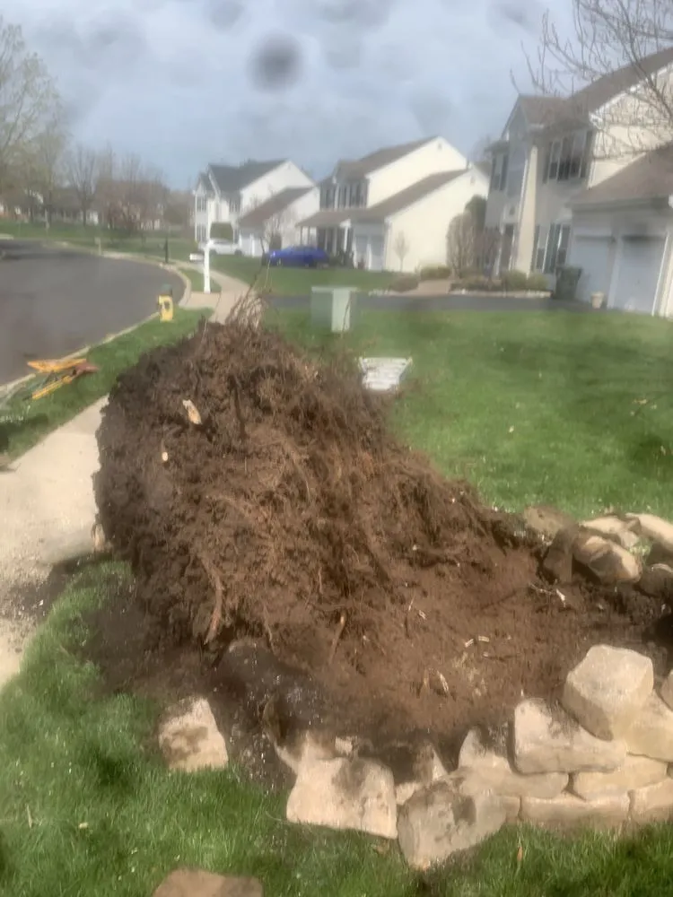 Custom yard maintenance in Morrisville, PA by Diamond Tree & Landscaping