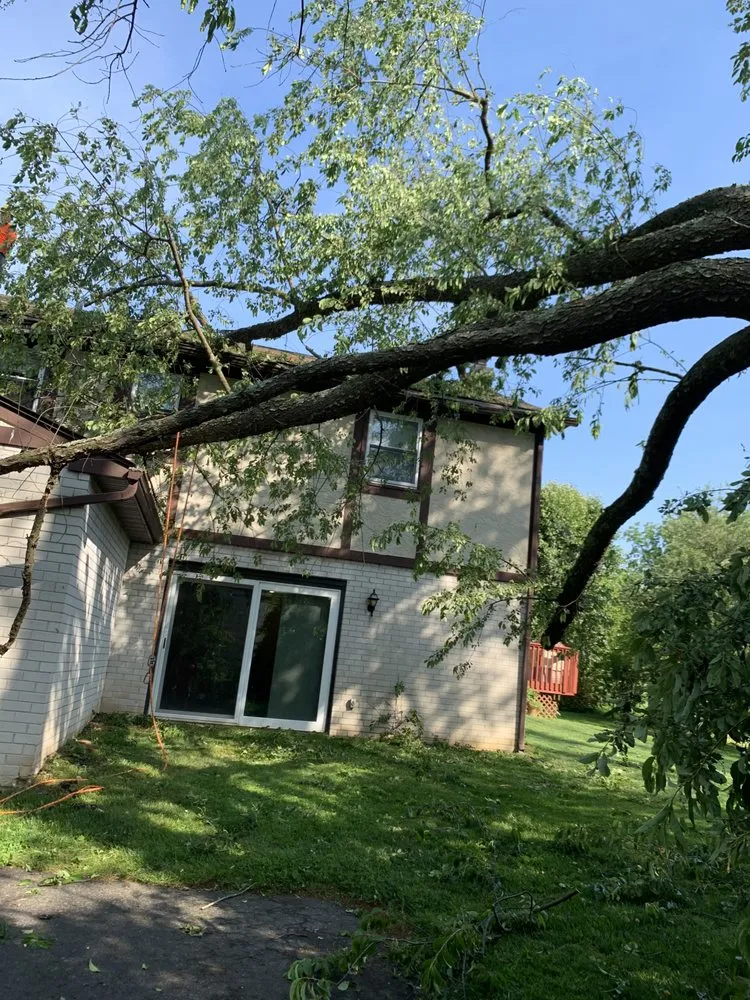 Professional landscape design experts serving Morrisville, PA - Diamond Tree & Landscaping