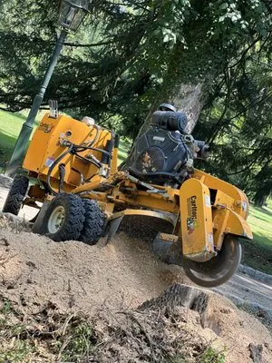 Diamond Tree & Landscaping Logo