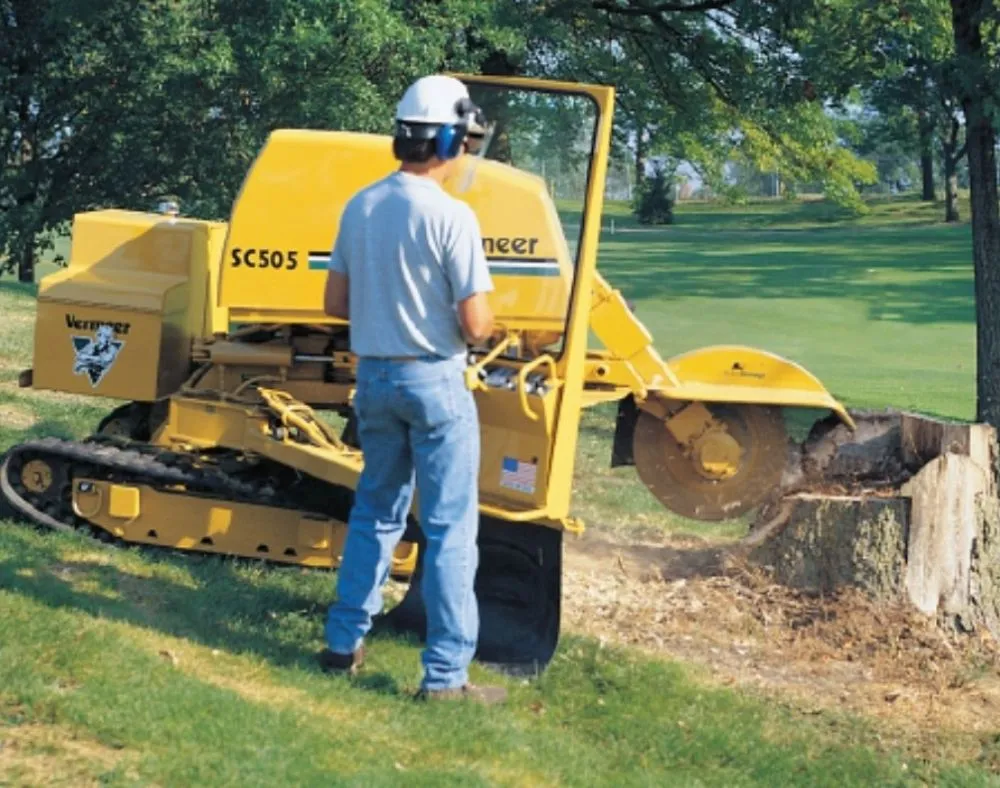 Top-rated landscape design experts serving Lubbock, TX - Diamond Tree Nexus