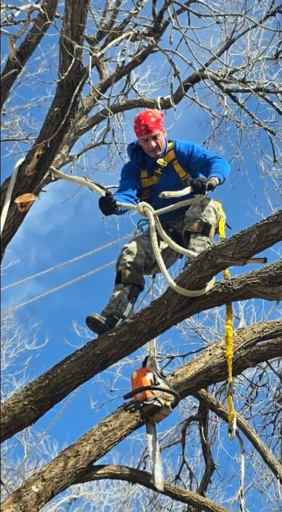 Local garden landscaping in Lubbock, TX - Diamond Tree Nexus