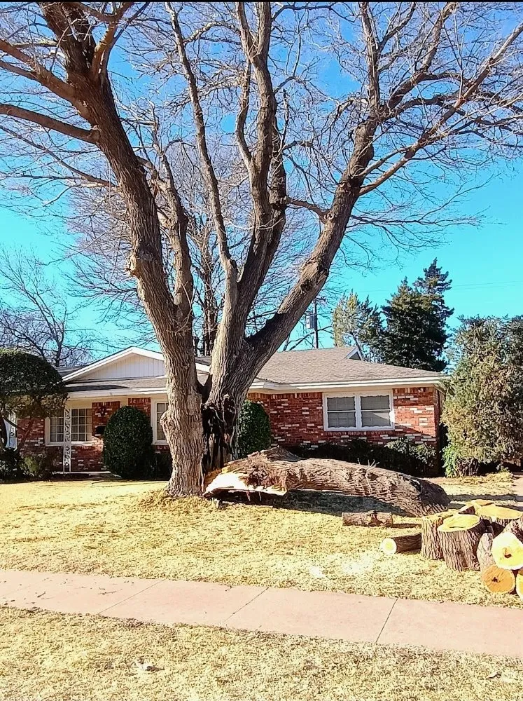 Reliable yard maintenance for beautiful yards in Lubbock, TX by Diamond Tree Nexus