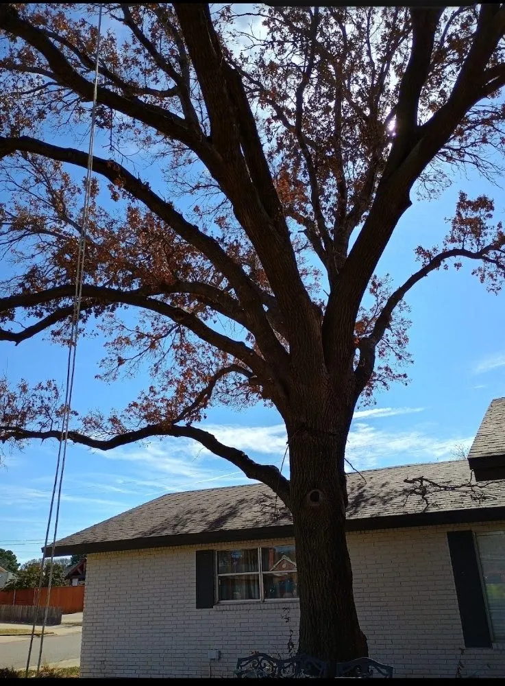 Custom landscaping services for beautiful yards in Lubbock, TX by Diamond Tree Nexus