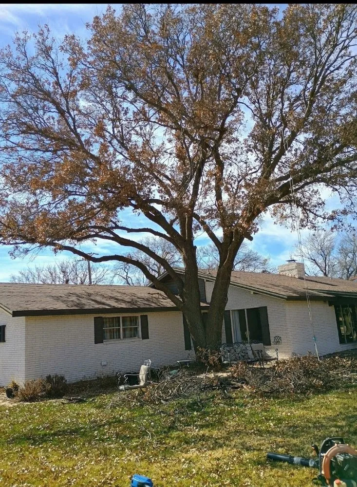 Affordable landscape design for homes in Lubbock, TX by Diamond Tree Nexus