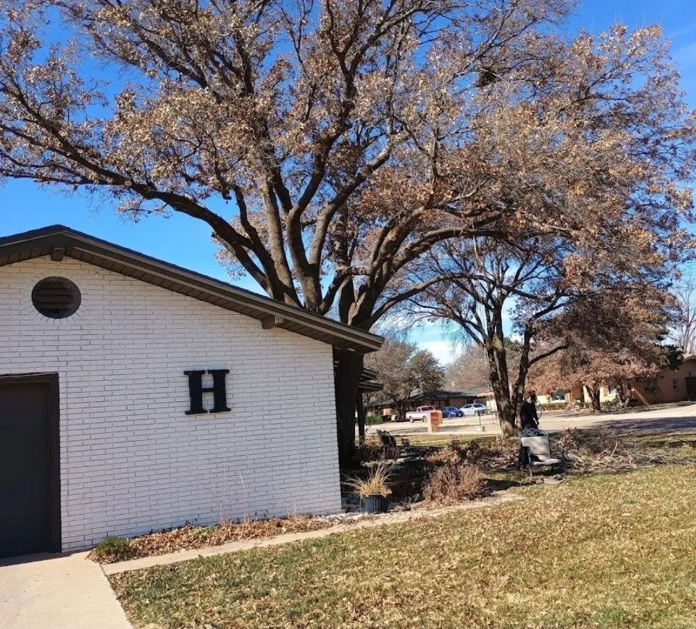 Professional lawn care service in Lubbock, TX by Diamond Tree Nexus