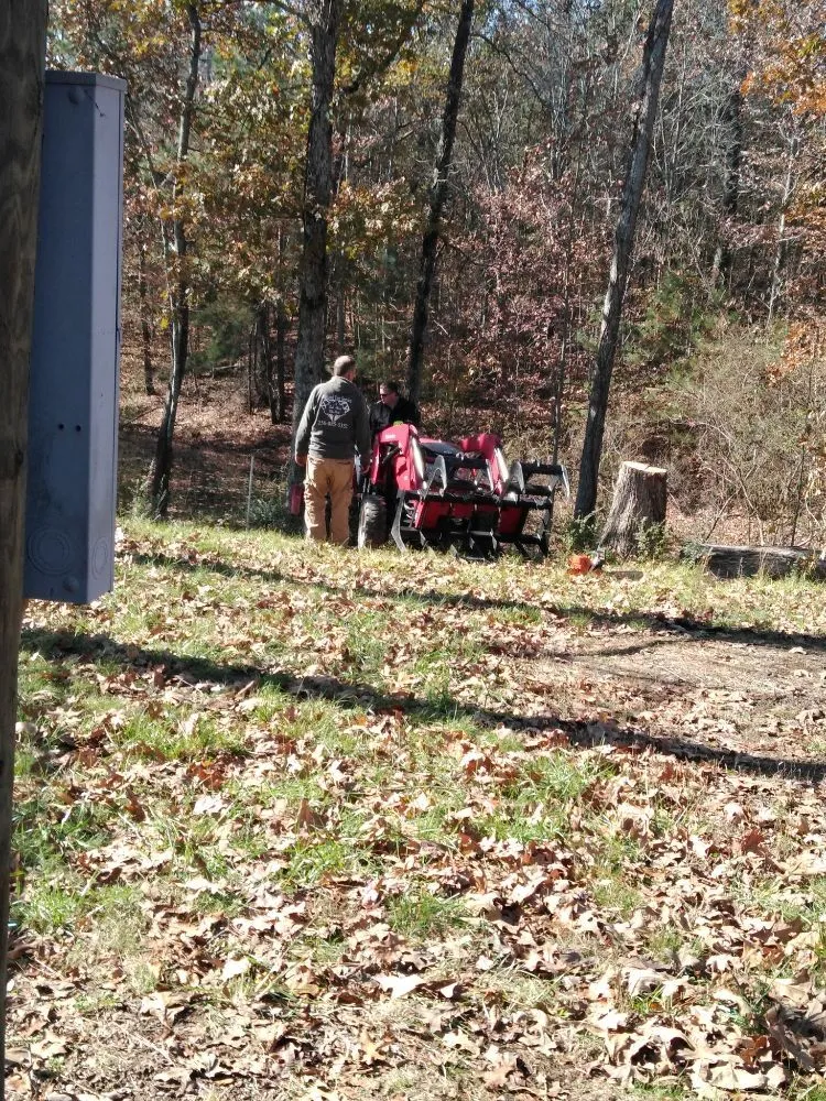 Custom yard maintenance in Decatur, AL - Diamond Tree Service