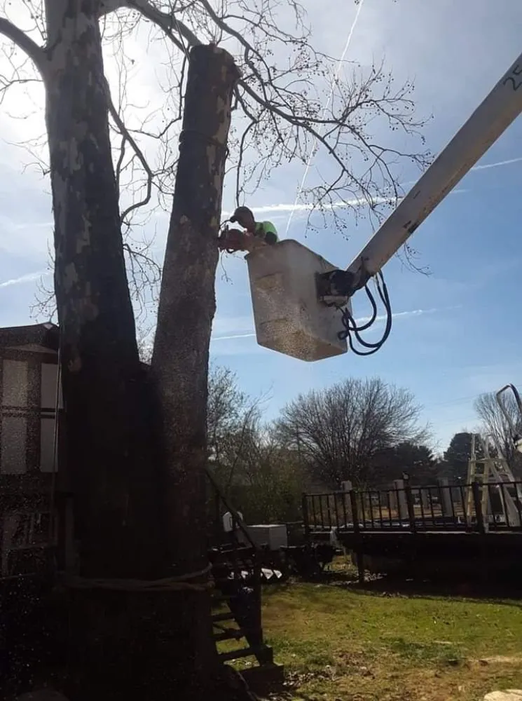 Trusted garden landscaping in Decatur, AL by Diamond Tree Service