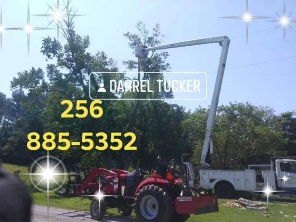 Affordable garden landscaping experts serving Decatur, AL - Diamond Tree Service