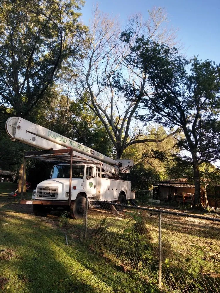 Top-rated landscaping services in Decatur, AL by Diamond Tree Service