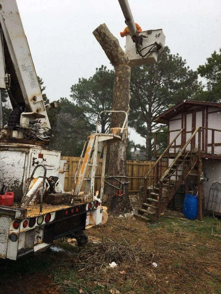 Affordable landscaping services for outdoor upgrades across Decatur, AL - Diamond Tree Service