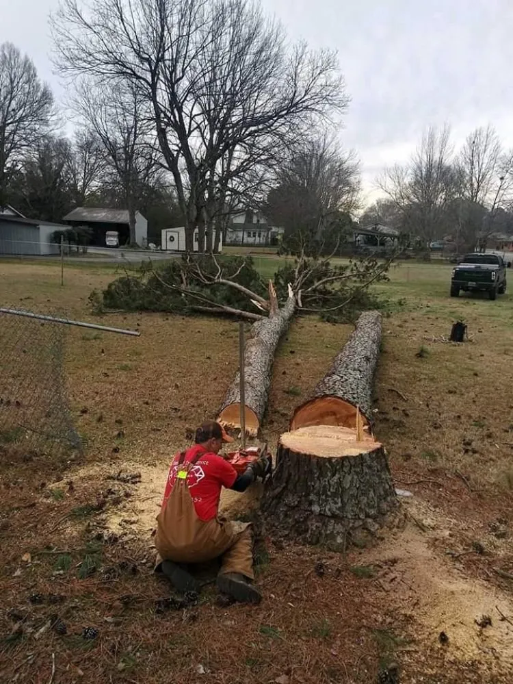 Top-rated yard cleanup service experts serving Decatur, AL - Diamond Tree Service