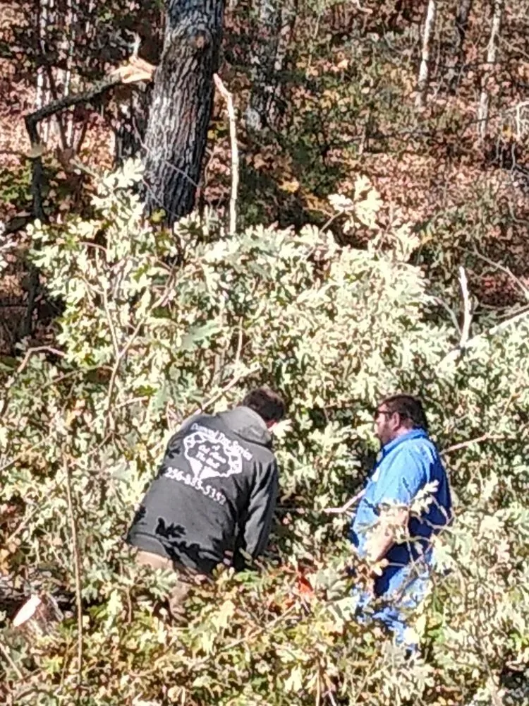 Professional lawn mowing service for outdoor upgrades across Decatur, AL - Diamond Tree Service