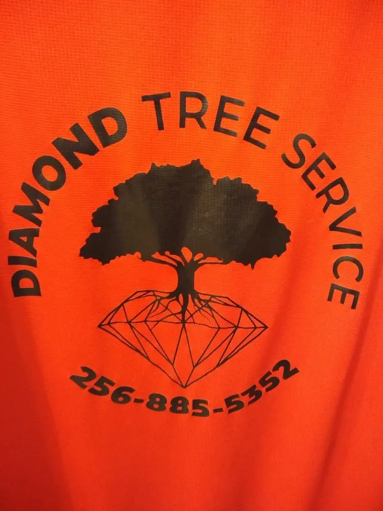 Top-rated outdoor landscaping near you in Decatur, AL by Diamond Tree Service