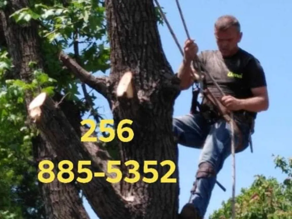 Reliable garden landscaping in Decatur, AL by Diamond Tree Service