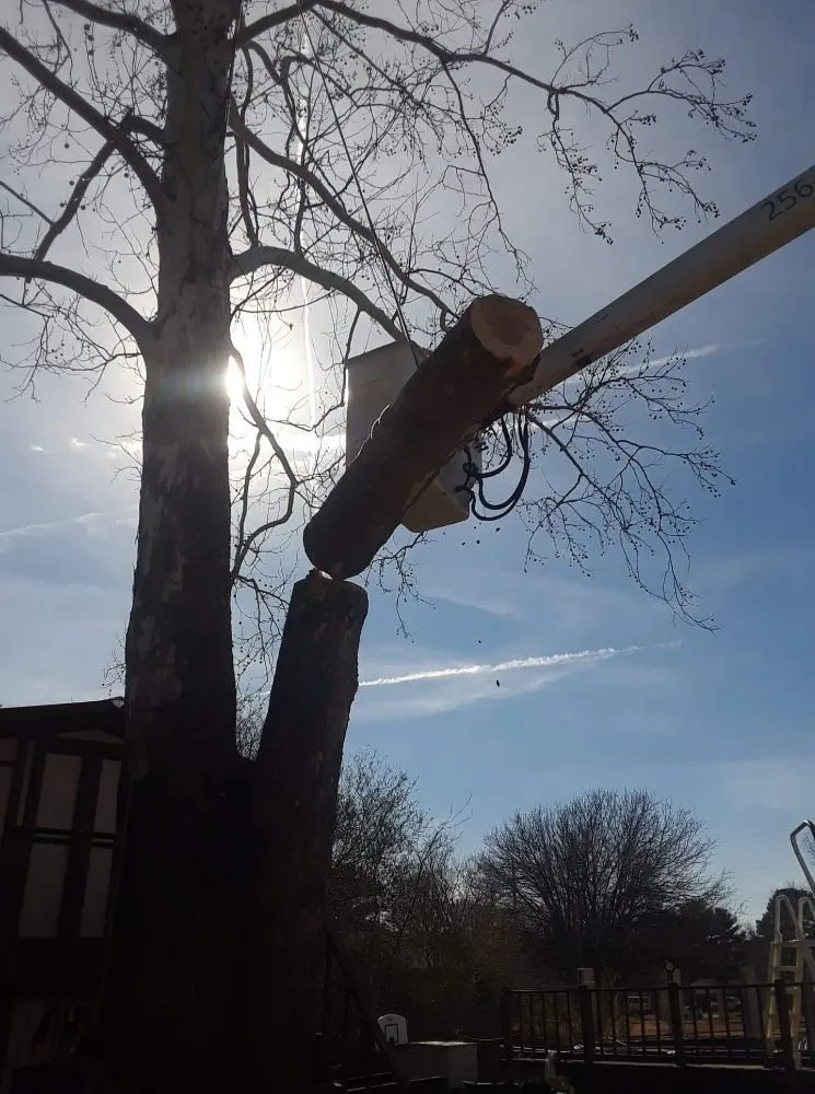 Reliable outdoor landscaping for homes in Decatur, AL by Diamond Tree Service