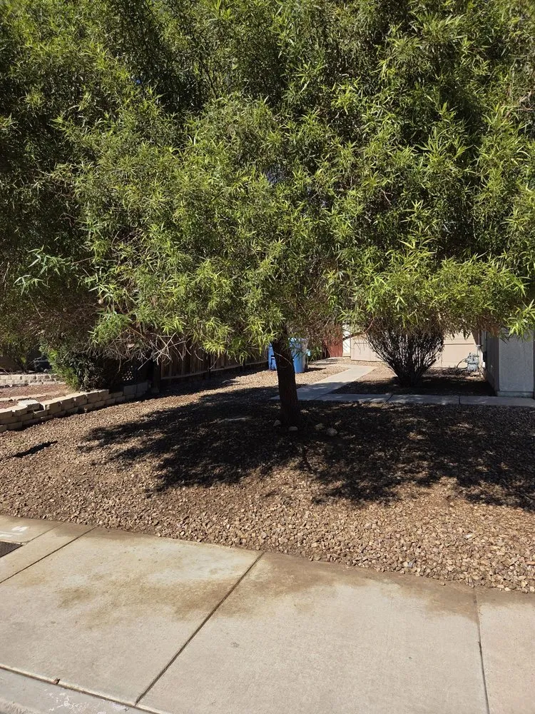 Expert landscape design for outdoor upgrades in Las Vegas, NV by Diamond Tree Service