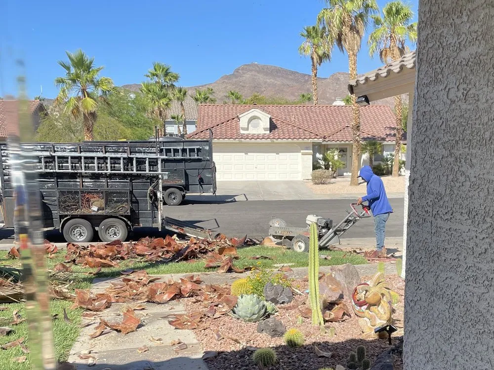 Trusted outdoor landscaping in Las Vegas, NV - Diamond Tree Service