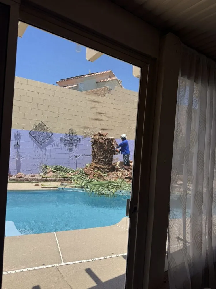 Trusted landscape design in Las Vegas, NV - Diamond Tree Service