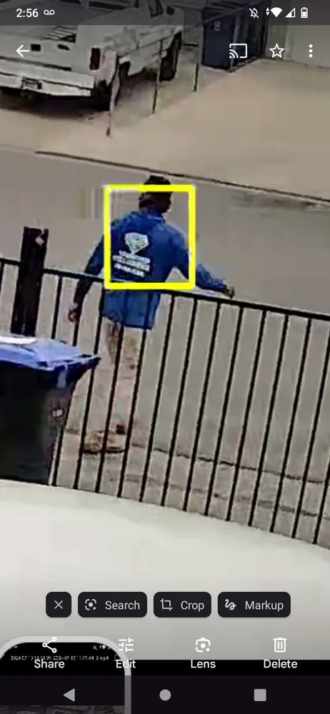 Trusted residential landscaping with custom design in Las Vegas, NV by Diamond Tree Service