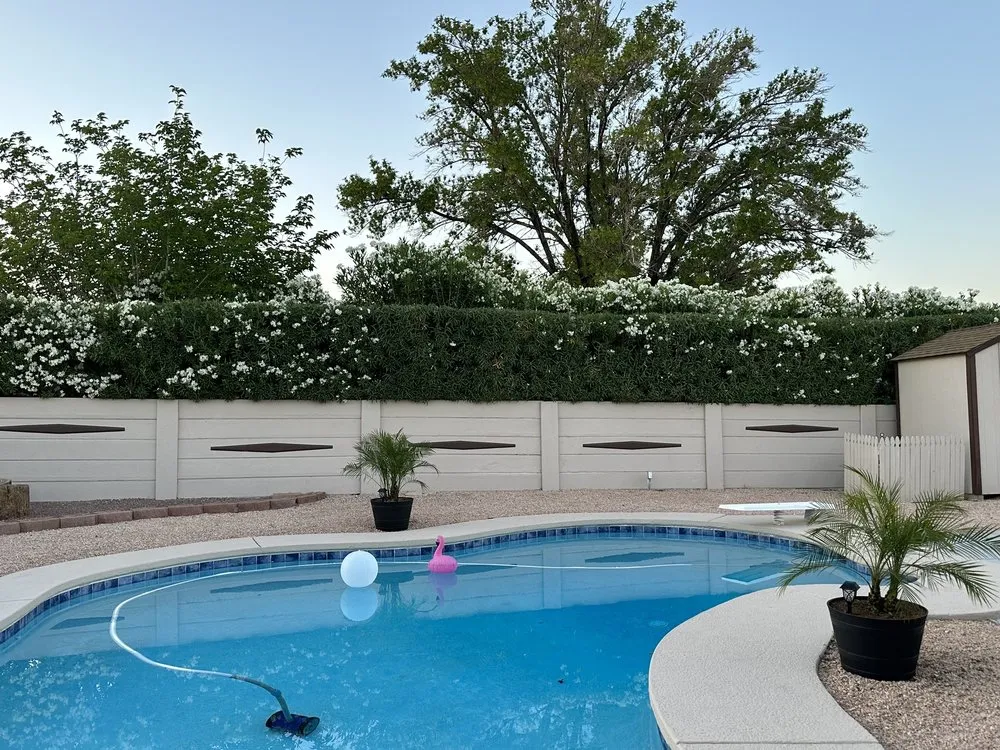 Top-rated yard maintenance for residential properties in Las Vegas, NV by Diamond Tree Service