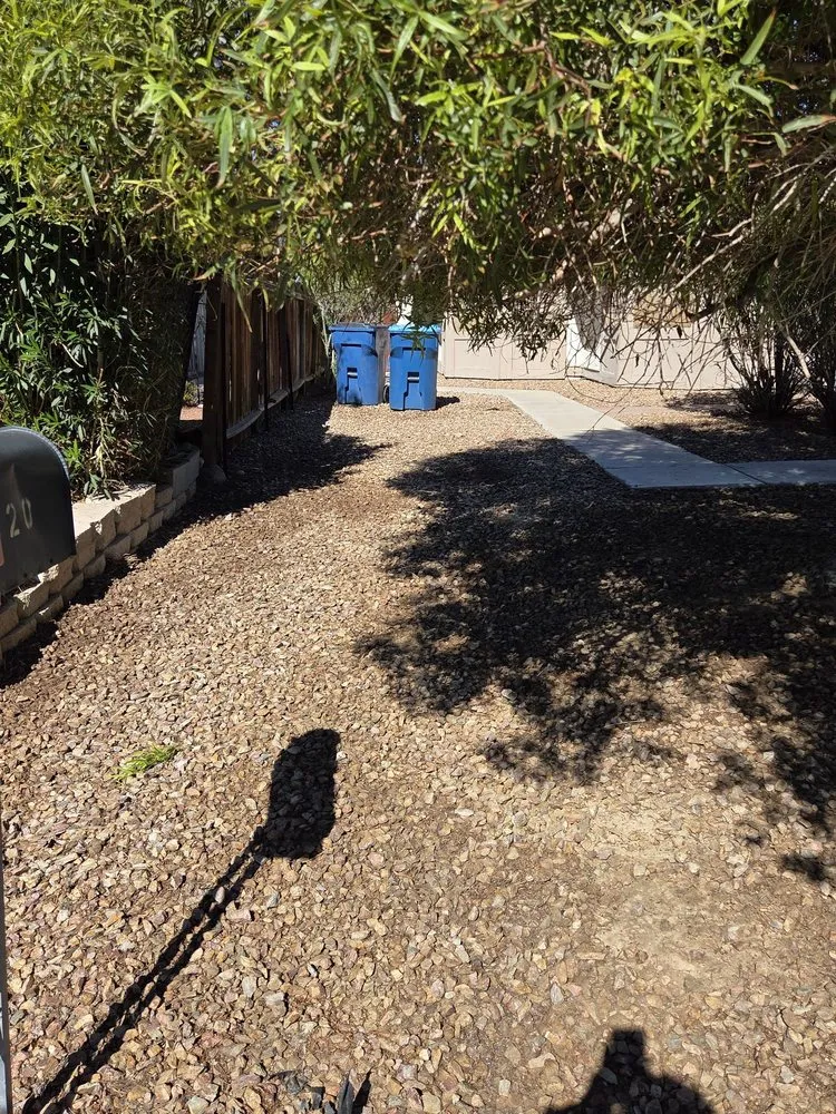 Expert outdoor landscaping in Las Vegas, NV by Diamond Tree Service