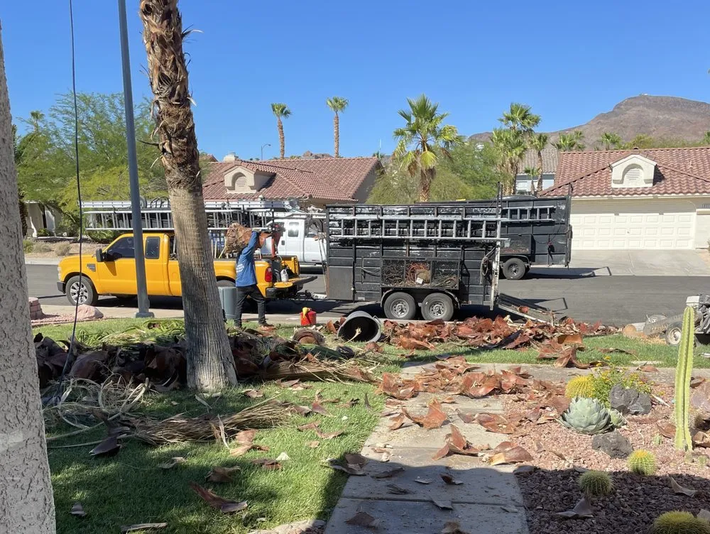 Local landscape installation for beautiful yards across Las Vegas, NV - Diamond Tree Service