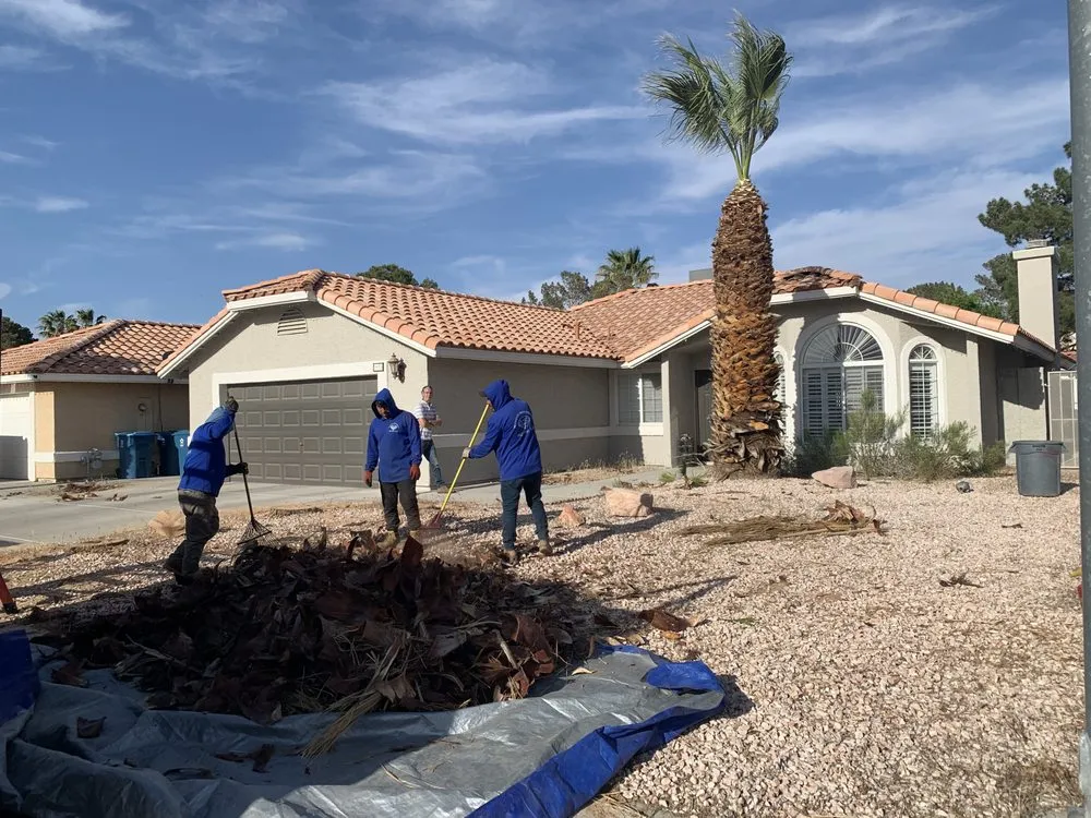 Top-rated landscape design near you in Las Vegas, NV by Diamond Tree Service