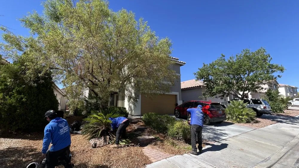 Affordable lawn care service in Las Vegas, NV by Diamond Tree Service