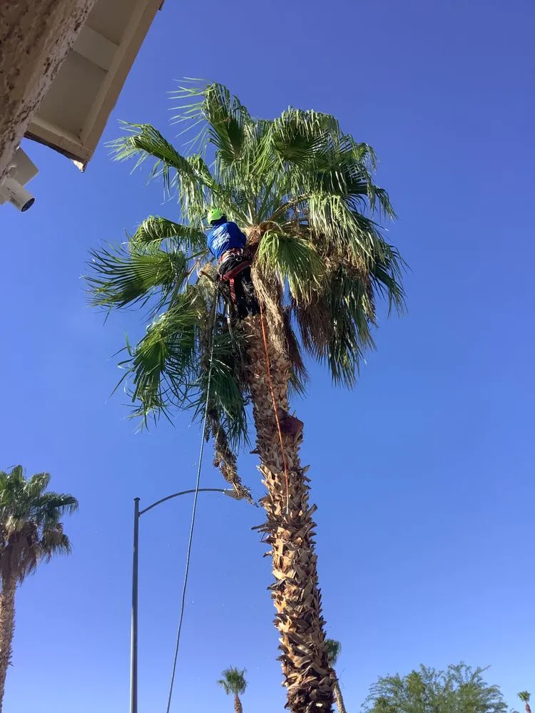 Professional lawn mowing service experts serving Las Vegas, NV - Diamond Tree Service