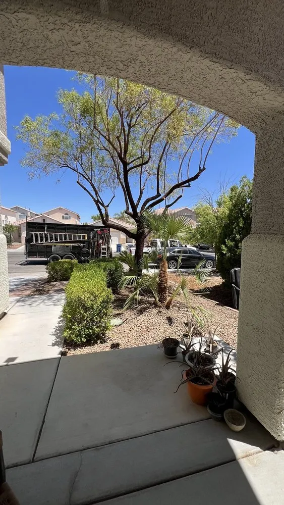 Affordable outdoor landscaping for year-round maintenance in Las Vegas, NV by Diamond Tree Service