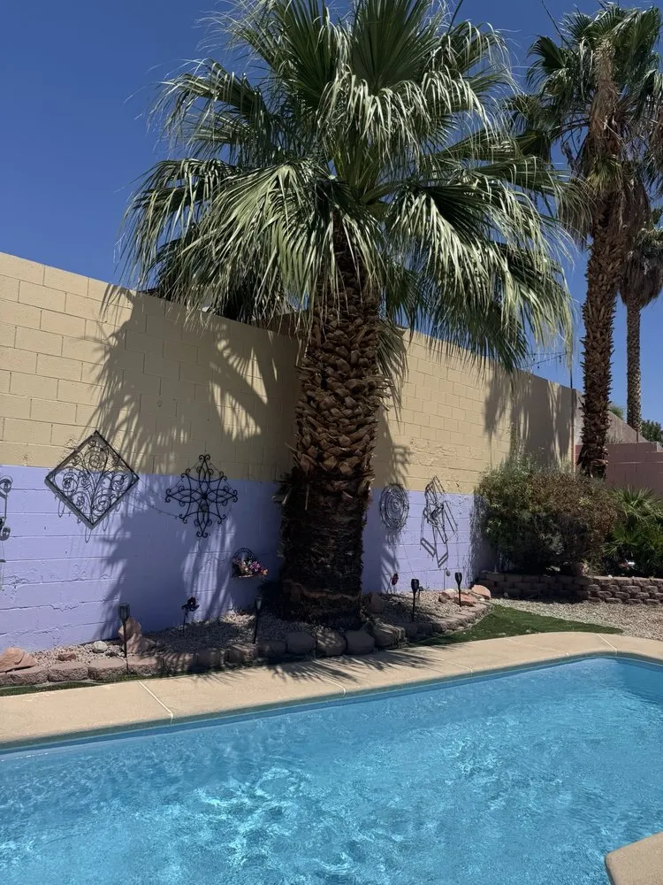 Local landscape installation in Las Vegas, NV by Diamond Tree Service